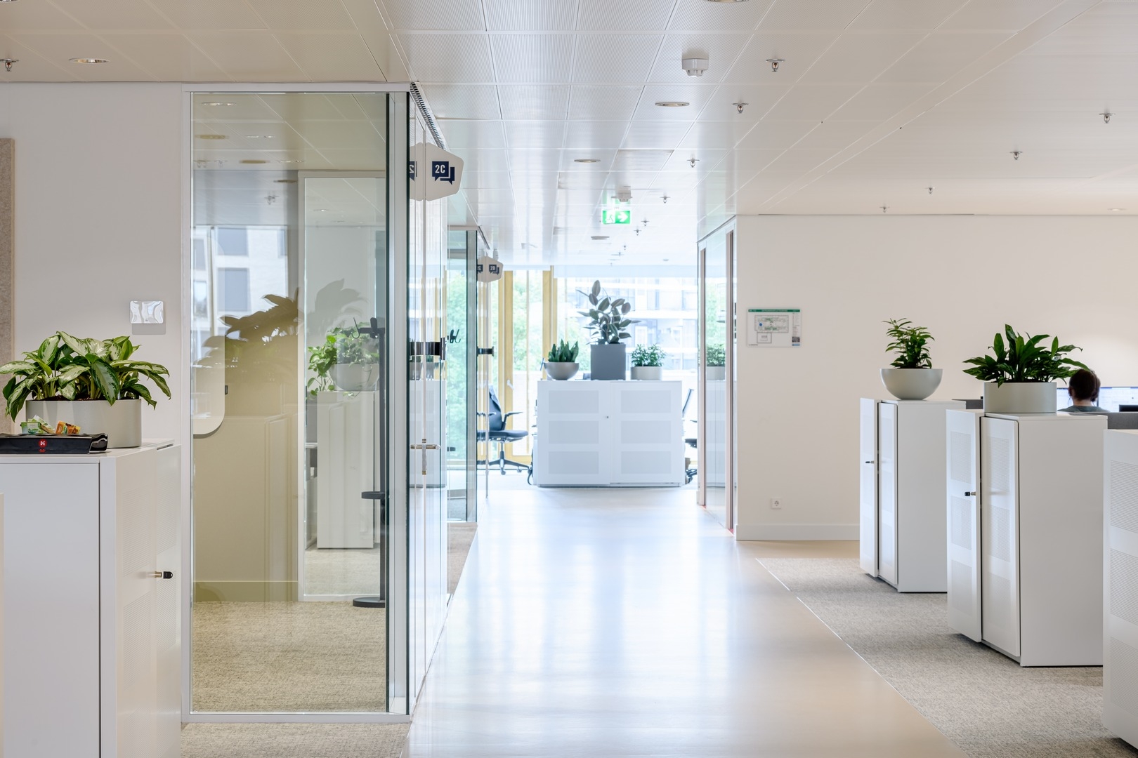 Offices with double glass partitions