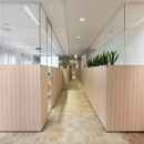 Glass office units with wood paneling ant planters