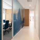 Glass partition wall with colored film at rabobank Amersfoort