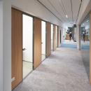 Concentration rooms with iQ-Pro closed partition with wood structure melamine panels