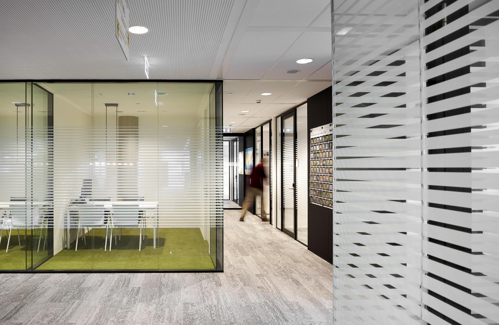 Single and double glass office walls with vector patern
