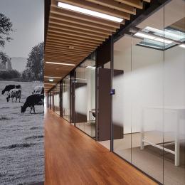 Corridor / office dividing partitions wall 