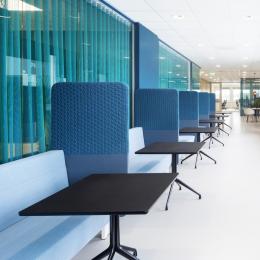 Blue colored singel glass partitions walls