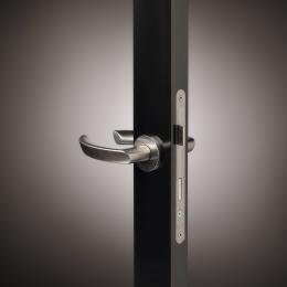 Door handle model 1119 hw