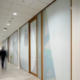 Partition wall covered with a printed film 