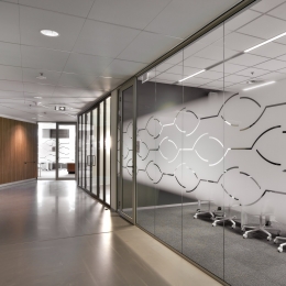 Single glass partitions with visuals added 